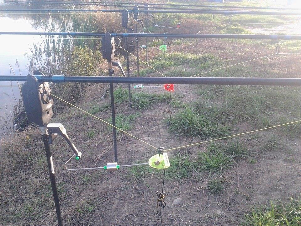 de toate - de toamna...